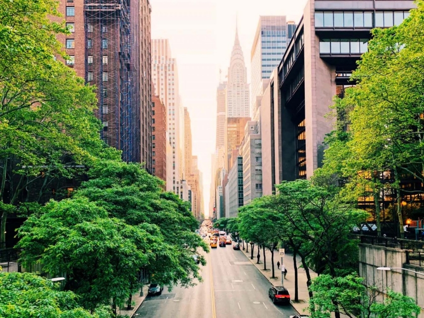 British Gas Business – Why Wait to Pursue Net Zero? British Gas Business – Why Wait to Pursue Net Zero?