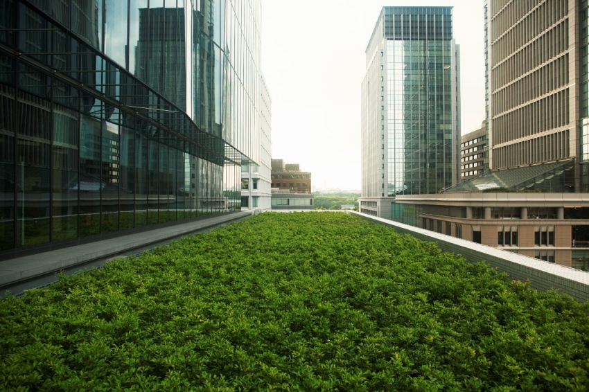 Balancing planet and profit during market volatility Balancing planet and profit during market volatility