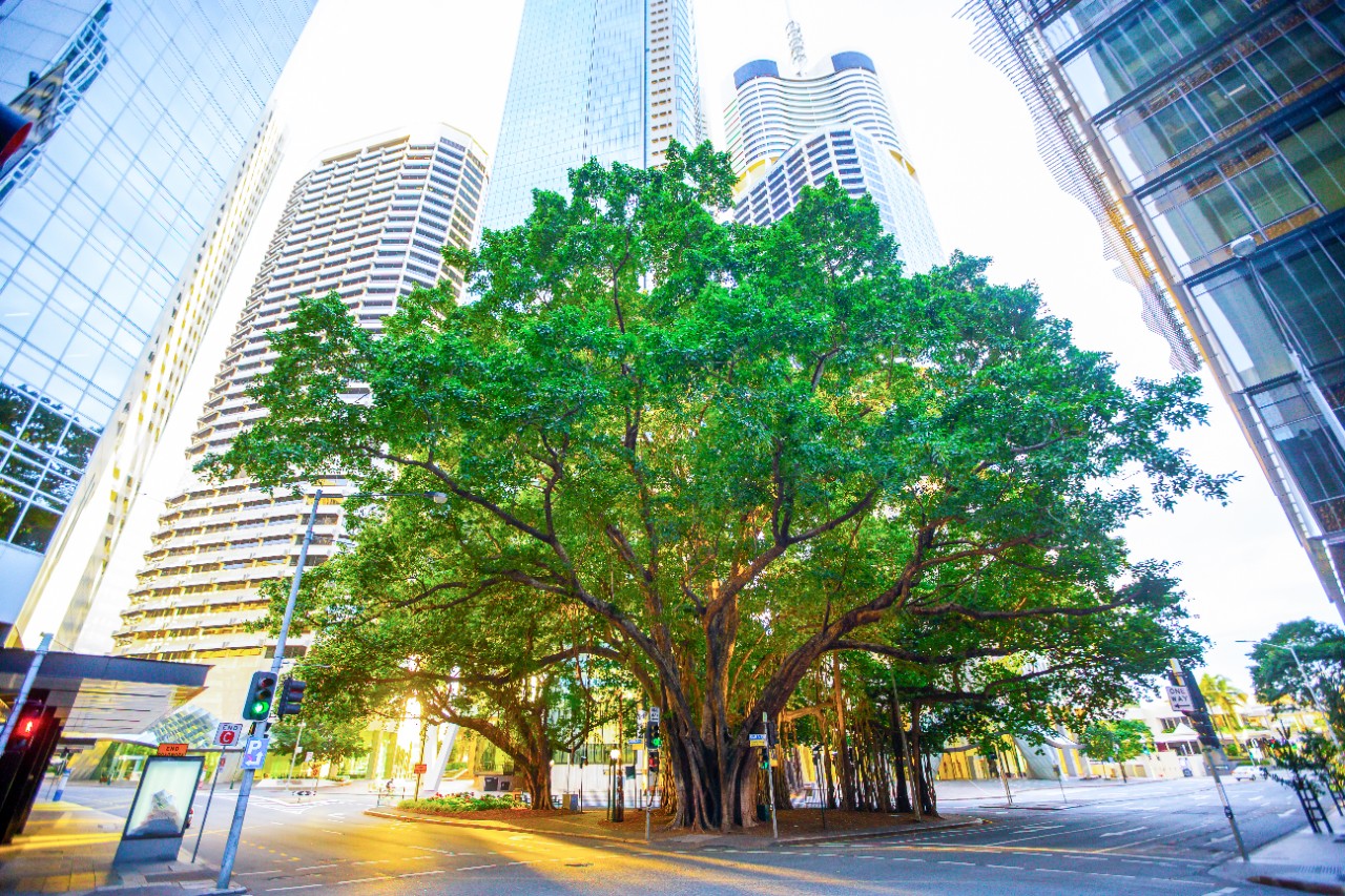 Why track your business energy? Why track your business energy?