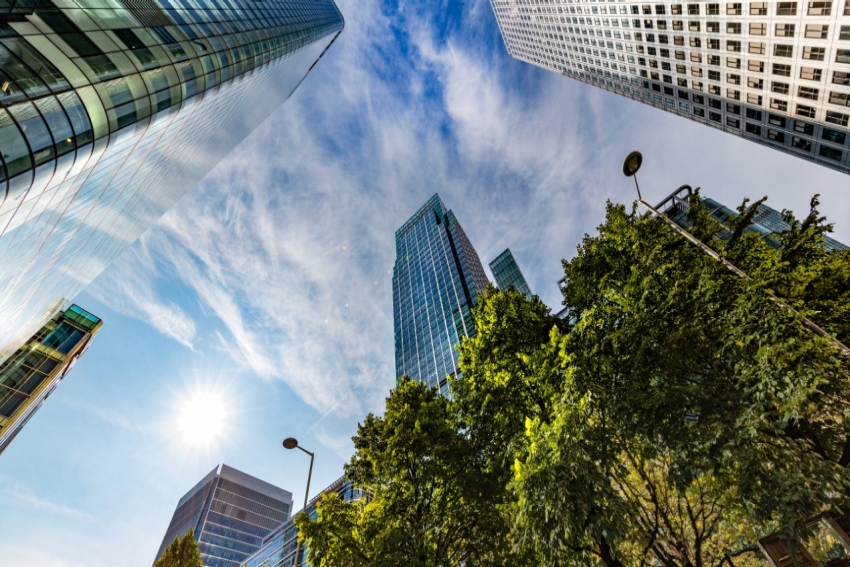 How can your business act and secure net zero How can your business act and secure net zero