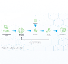 ML Data Curation